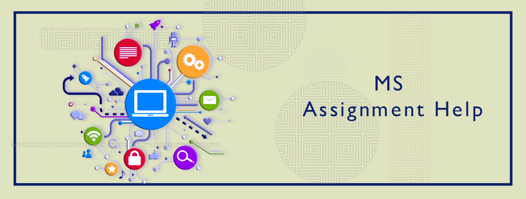 MS Assignment Help